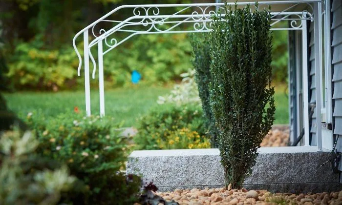 Closeup of landscaped area with shrub near entranceway